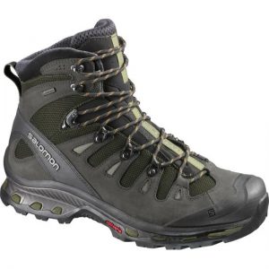 Hiking Botu: Salomon Quest 4D GTX