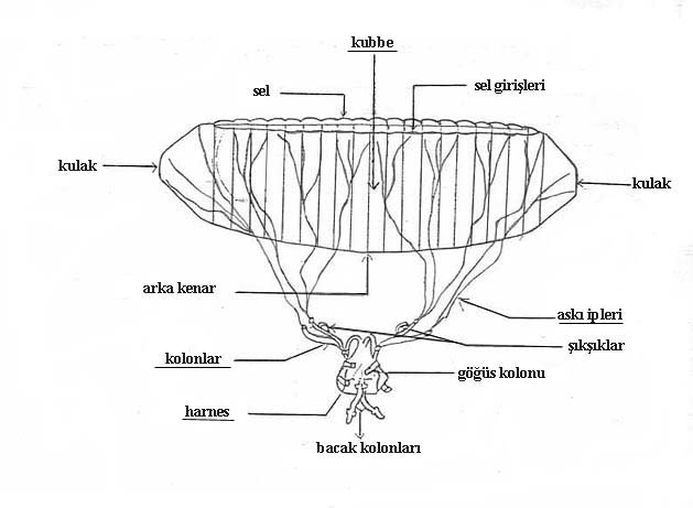 Kanat ve Harness Çizim
